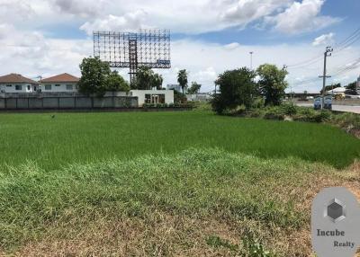 31,223 Sqm. Land listed for ฿ 488,000,000.