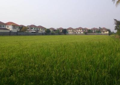 22,376 Sqm. Land listed for ฿ 174,812,500.