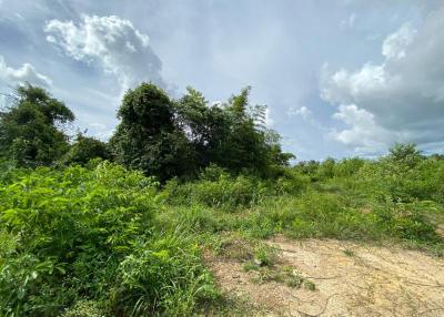 83,200 Sqm. Land listed for ฿ 171,600,000.