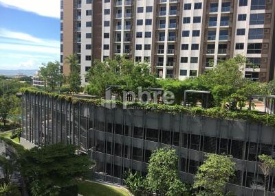 Pattaya Heights Condo for Rent in Phratamnak