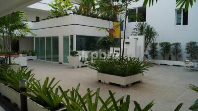 Art On The Hill Condo for Rent in Pratumnak