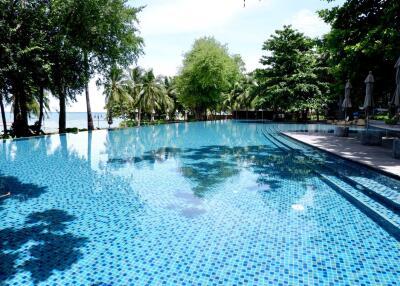 Studio at Northpoint Condo for Rent in Pattaya