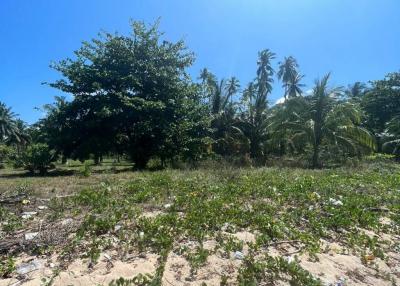 Beachfront Land in Laem Set, Southeast Samui