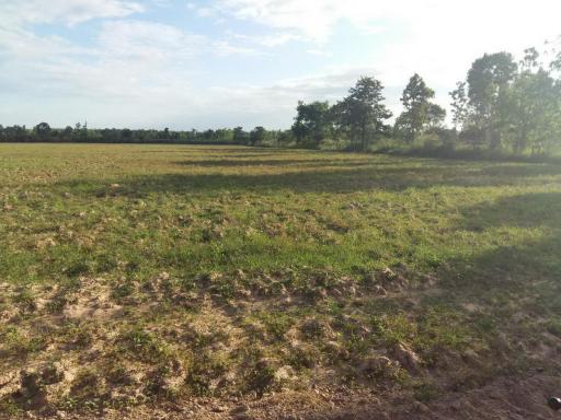 30 Rai of Fertile Land For Sale in Nong Han, Udon Thani, Thailand