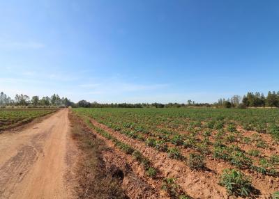 30 Rai of Fertile Land For Sale in Nong Han, Udon Thani, Thailand