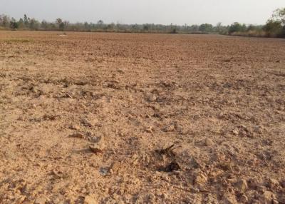 30 Rai of Fertile Land For Sale in Nong Han, Udon Thani, Thailand