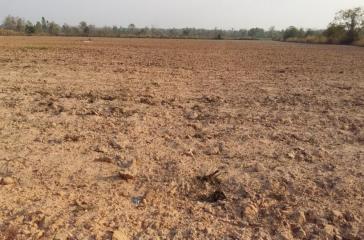 30 Rai of Fertile Land For Sale in Nong Han, Udon Thani, Thailand