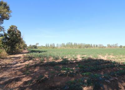 30 Rai of Fertile Land For Sale in Nong Han, Udon Thani, Thailand