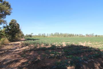 30 Rai of Fertile Land For Sale in Nong Han, Udon Thani, Thailand