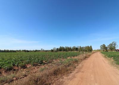 30 Rai of Fertile Land For Sale in Nong Han, Udon Thani, Thailand