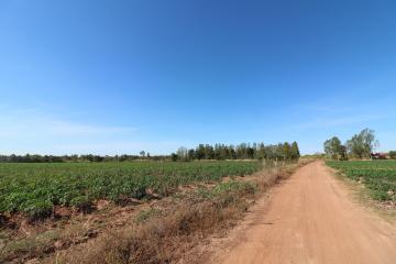 30 Rai of Fertile Land For Sale in Nong Han, Udon Thani, Thailand