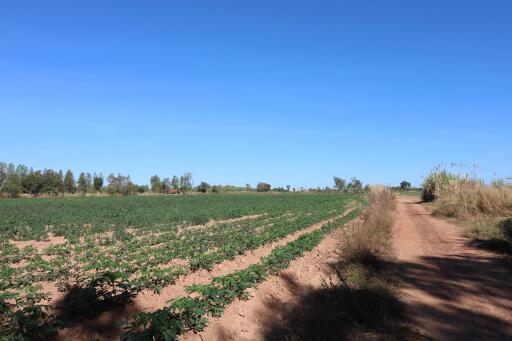 30 Rai of Fertile Land For Sale in Nong Han, Udon Thani, Thailand