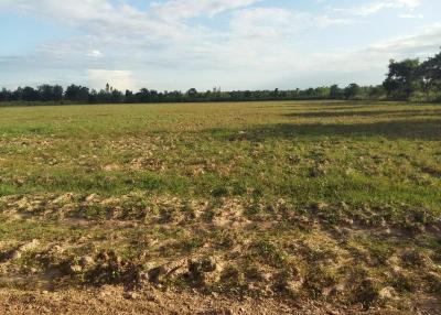 30 Rai of Fertile Land For Sale in Nong Han, Udon Thani, Thailand