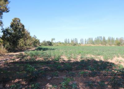 30 Rai of Fertile Land For Sale in Nong Han, Udon Thani, Thailand