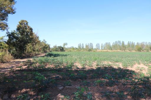 30 Rai of Fertile Land For Sale in Nong Han, Udon Thani, Thailand