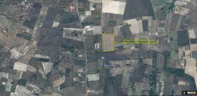 30 Rai of Fertile Land For Sale in Nong Han, Udon Thani, Thailand