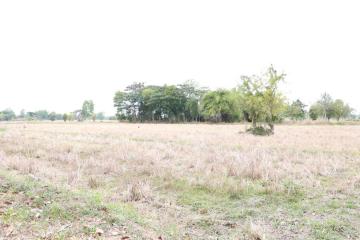 2 Rai+ Land for Sale, Just Minutes from Central Mueang Sakon Nakhon, Thailand