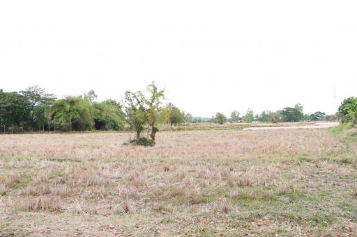 2 Rai+ Land for Sale, Just Minutes from Central Mueang Sakon Nakhon, Thailand