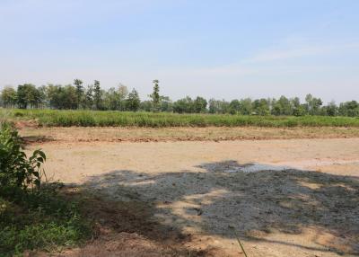 9 Rai of Land For Sale, Nong Han, Udon Thani, Thailand