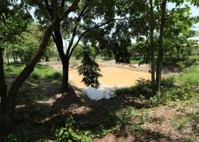 9 Rai of Land For Sale, Nong Han, Udon Thani, Thailand