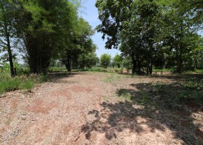 9 Rai of Land For Sale, Nong Han, Udon Thani, Thailand