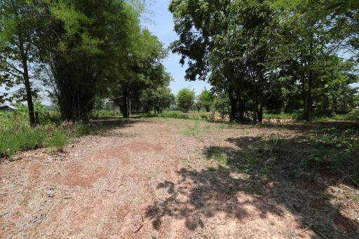 9 Rai of Land For Sale, Nong Han, Udon Thani, Thailand