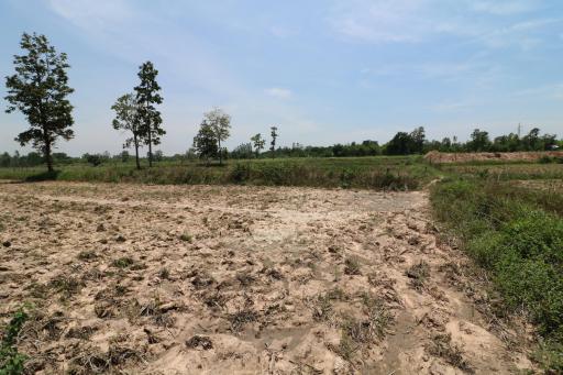 9 Rai of Land For Sale, Nong Han, Udon Thani, Thailand