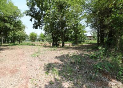 9 Rai of Land For Sale, Nong Han, Udon Thani, Thailand