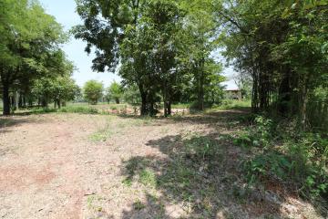 9 Rai of Land For Sale, Nong Han, Udon Thani, Thailand