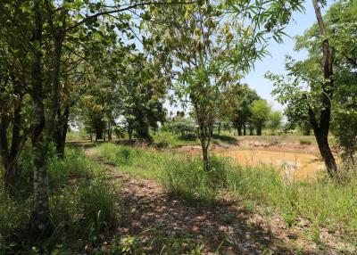 9 Rai of Land For Sale, Nong Han, Udon Thani, Thailand