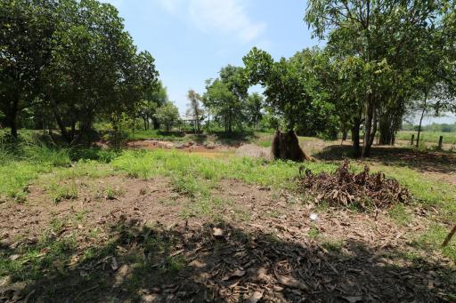 9 Rai of Land For Sale, Nong Han, Udon Thani, Thailand