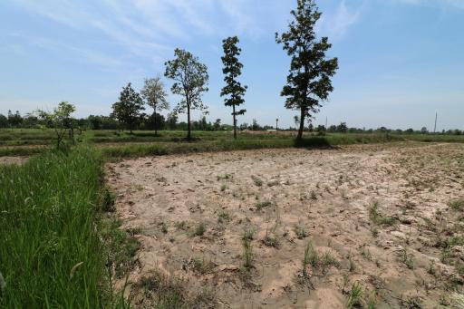 9 Rai of Land For Sale, Nong Han, Udon Thani, Thailand