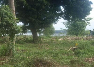 2 Rai 2 Ngaan + Mekong River Frontage Superb Land For Sale in Nong Khai, Thailand