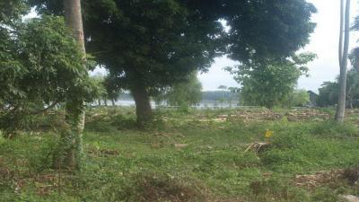 2 Rai 2 Ngaan + Mekong River Frontage Superb Land For Sale in Nong Khai, Thailand