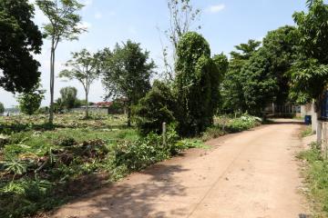 2 Rai 2 Ngaan + Mekong River Frontage Superb Land For Sale in Nong Khai, Thailand