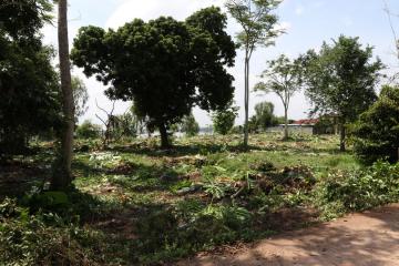 2 Rai 2 Ngaan + Mekong River Frontage Superb Land For Sale in Nong Khai, Thailand