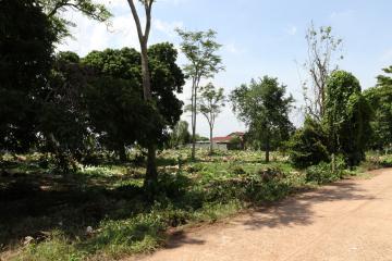 2 Rai 2 Ngaan + Mekong River Frontage Superb Land For Sale in Nong Khai, Thailand