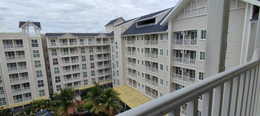 1Bedroom Grand Florida Condo for Rent