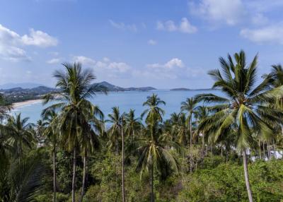 Chaweng Noi- 11,368sqm FOR SALE- 60Mn- seaview