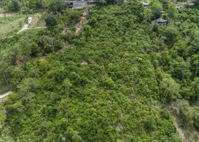 Chaweng Noi - 9,600sqm for Sale 65.400.000