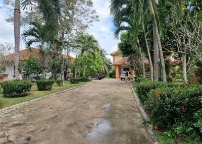 Big Garden House in Huay Yai for Rent