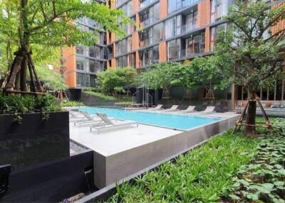 For Rent 1 Bedroom Condo Quintara Treehaus Sukhumvit 42 600m from BTS Ekamai