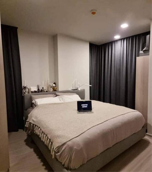 For Rent 1 Bedroom Condo Quintara Treehaus Sukhumvit 42 600m from BTS Ekamai