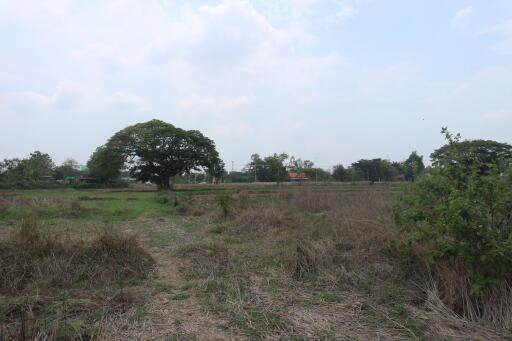 1 Rai 2 Ngaan of New Residential Development Land For Sale in Pho Chai, Nong Khai City, Thailand