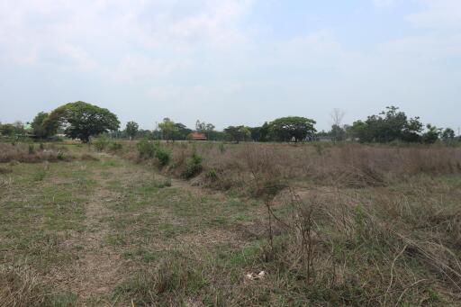 1 Rai 2 Ngaan of New Residential Development Land For Sale in Pho Chai, Nong Khai City, Thailand