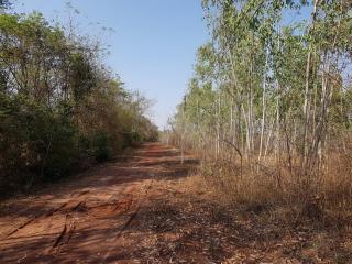 48+ Rai Land For Sale Nong Khai, Thailand