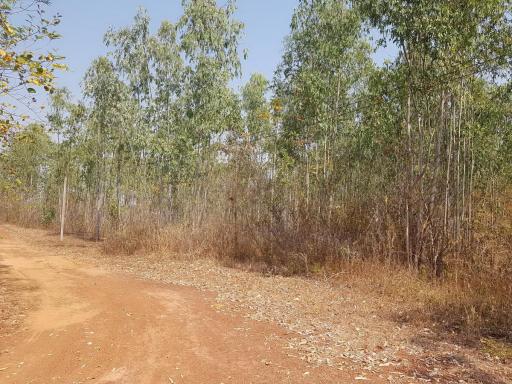 48+ Rai Land For Sale Nong Khai, Thailand