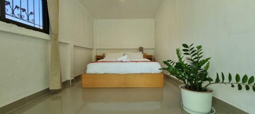 Pool Villa House for Rent in Chaiyapurek