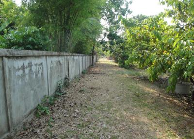 Land For Sale in Hang Hong, Sakon Nakhon, Thailand