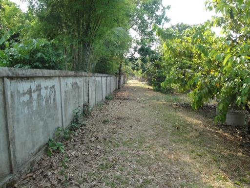 Land For Sale in Hang Hong, Sakon Nakhon, Thailand